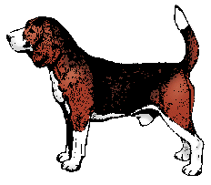 Beagles dog graphics