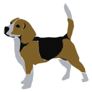Beagles dog graphics