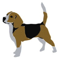 Beagles dog graphics