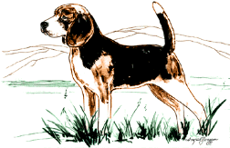 Beagles dog graphics