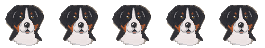 Bernese mountain dog dog graphics