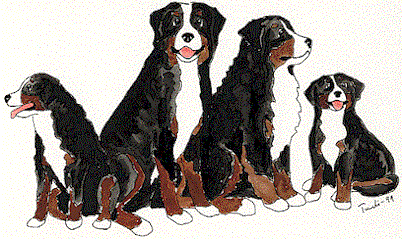 Bernese mountain dog dog graphics