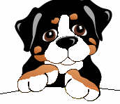 Bernese mountain dog dog graphics