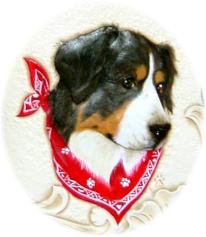 Bernese mountain dog dog graphics