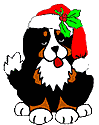 Bernese mountain dog dog graphics