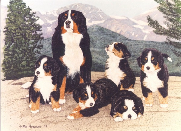 Bernese mountain dog dog graphics