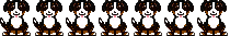 Bernese mountain dog dog graphics
