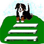 Bernese mountain dog dog graphics