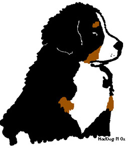 Bernese mountain dog dog graphics