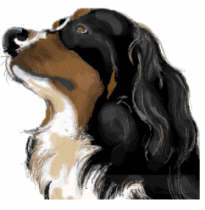 Bernese mountain dog dog graphics