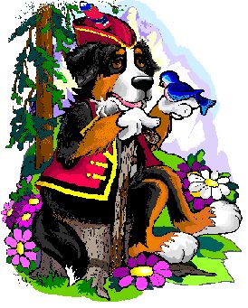 Bernese mountain dog dog graphics