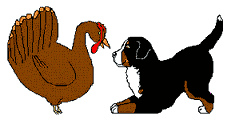 Bernese mountain dog dog graphics