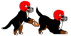 Bernese mountain dog dog graphics