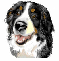 Bernese mountain dog dog graphics