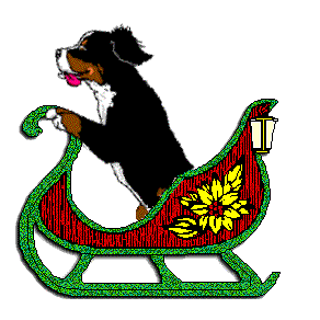 Bernese mountain dog dog graphics