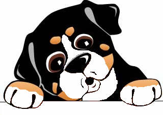 Bernese mountain dog dog graphics