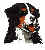 Bernese mountain dog dog graphics