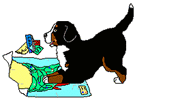 Bernese mountain dog dog graphics