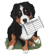 Bernese mountain dog dog graphics