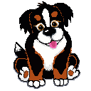 Bernese mountain dog dog graphics