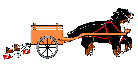 Bernese mountain dog dog graphics