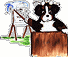 Bernese mountain dog dog graphics