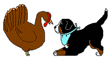 Bernese mountain dog dog graphics