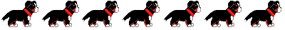 Bernese mountain dog dog graphics