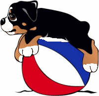 Bernese mountain dog dog graphics