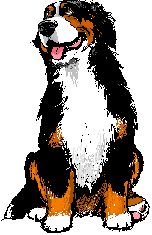 Bernese mountain dog dog graphics