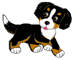 Bernese mountain dog dog graphics