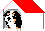 Bernese mountain dog dog graphics