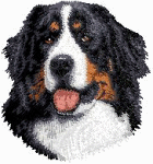 Bernese mountain dog dog graphics