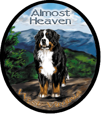 Bernese mountain dog dog graphics