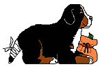 Bernese mountain dog dog graphics