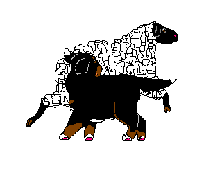 Bernese mountain dog dog graphics