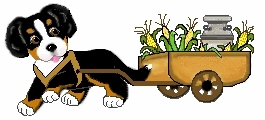 Bernese mountain dog dog graphics