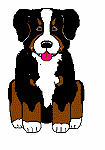 Bernese mountain dog dog graphics