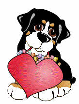 Bernese mountain dog dog graphics