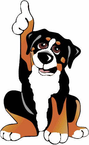 Bernese mountain dog dog graphics