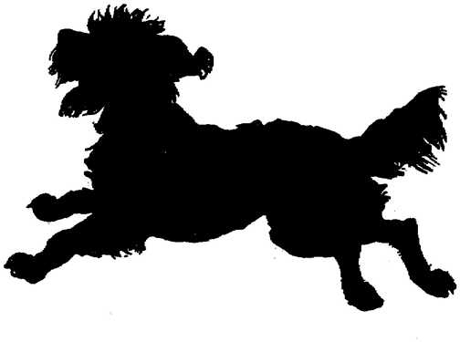 Black white dogs dog graphics