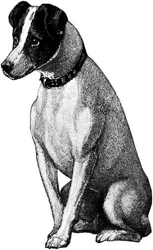 Black white dogs dog graphics