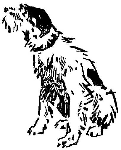 Black white dogs dog graphics