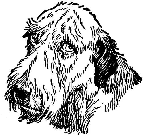 Black white dogs dog graphics