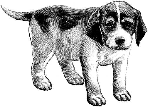 Black white dogs dog graphics