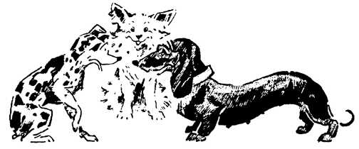 Black white dogs dog graphics