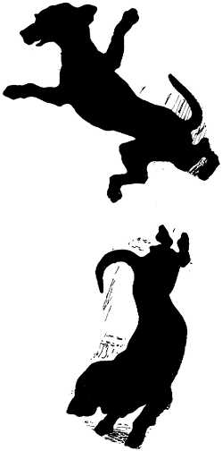 Black white dogs dog graphics