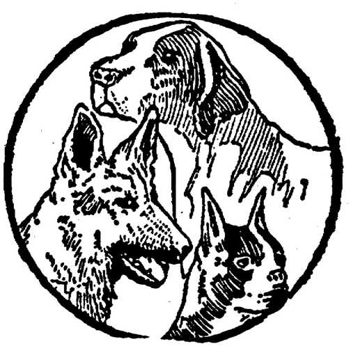 Black white dogs dog graphics