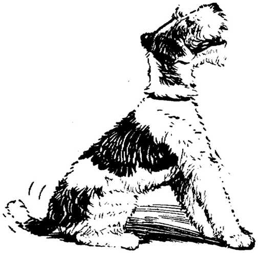 Black white dogs dog graphics