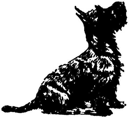 Black white dogs dog graphics